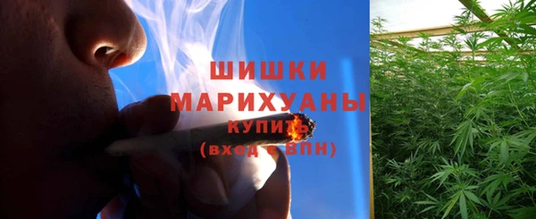 винт Верея
