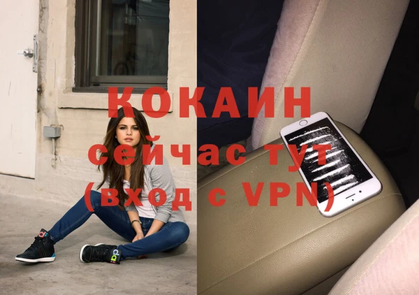 винт Верея