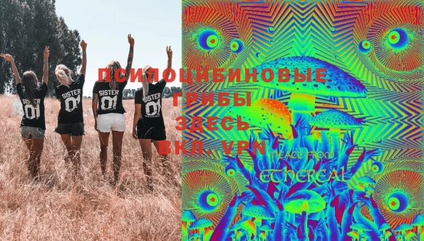 стаф Верхний Тагил