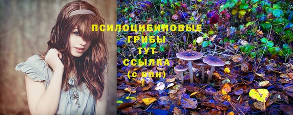 винт Верея