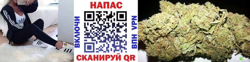 Шишки марихуана семена Лиски